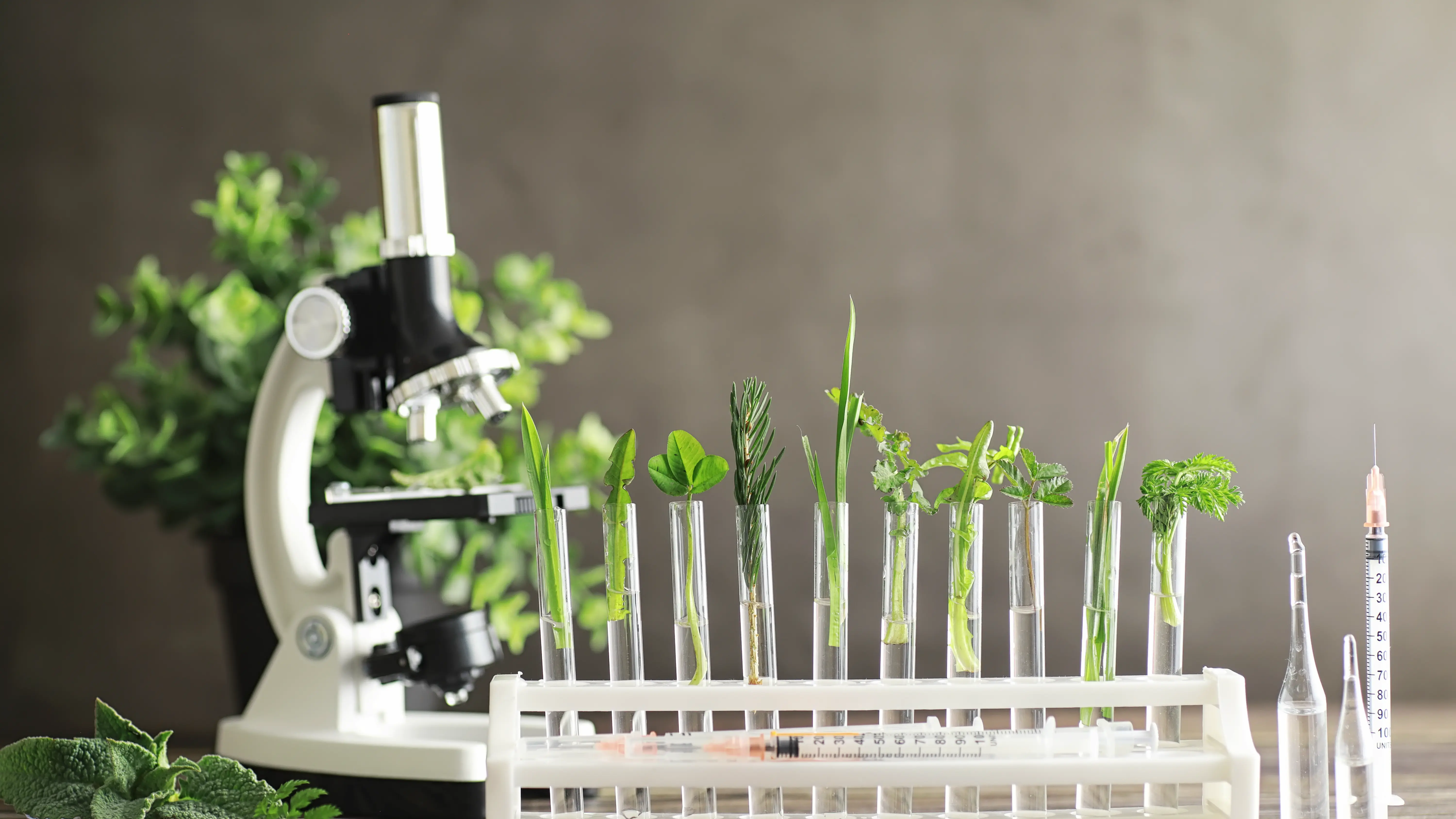 Laboratorium